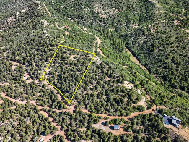 Expansive wooded lot outlined in yellow, featuring a natural, undulating terrain