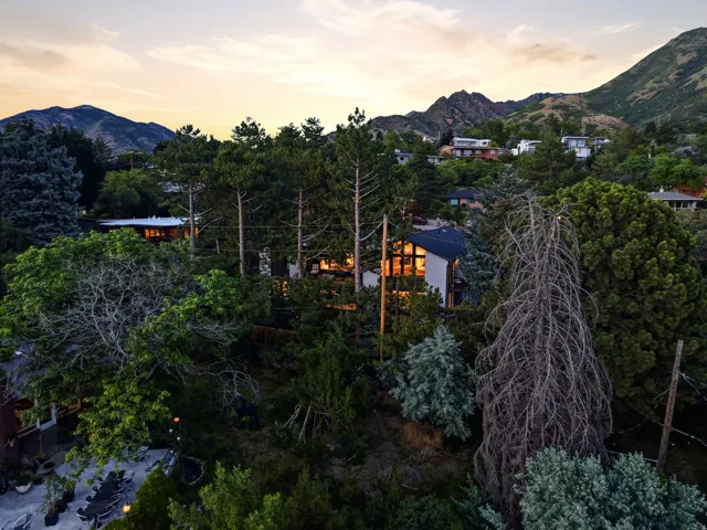 Modern architectural residence nestled within a heavily wooded landscape