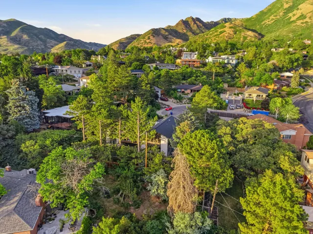 Lush, verdant landscape surrounds homes nestled into the mountainside