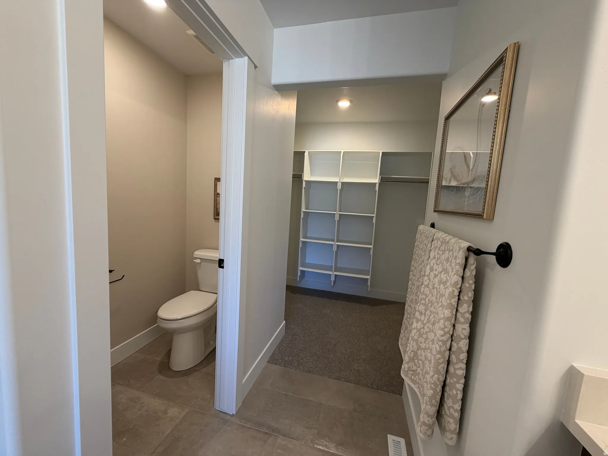 Walk-in closet with built-in shelving, plush carpeting, and recessed lighting