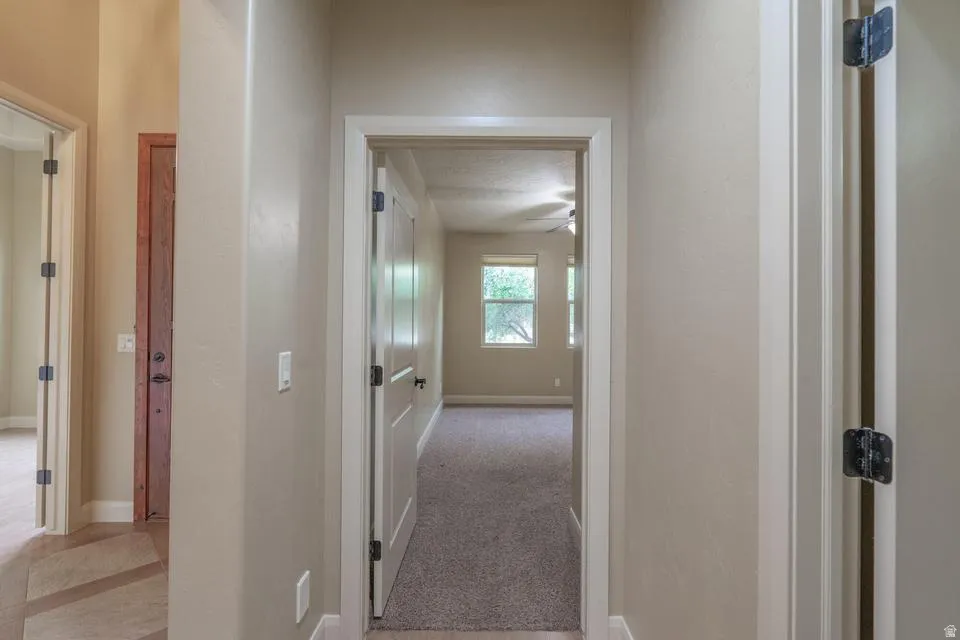 Hallway featuring neutral wall paint, white trim, and doors with dark hardware, leading to a carpeted room with multiple windows and a ceiling fan