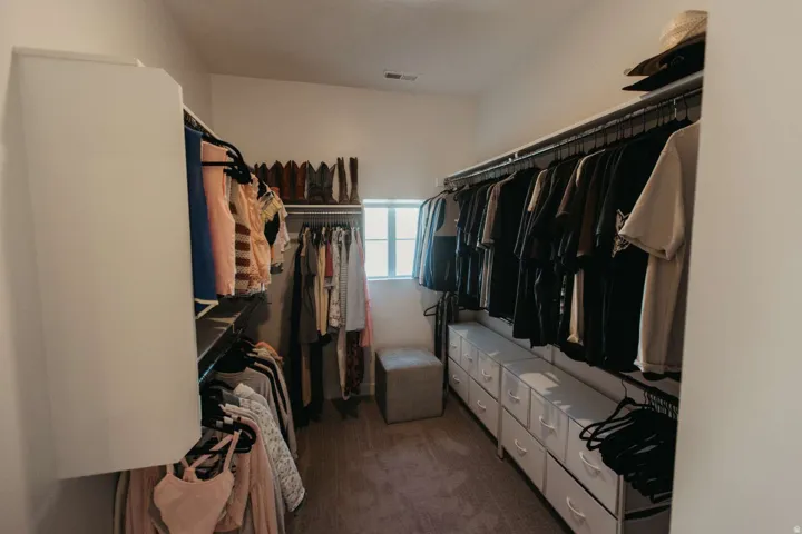 Walk-in closet featuring built-in shelving, hanging rods, an integrated window, and carpet flooring