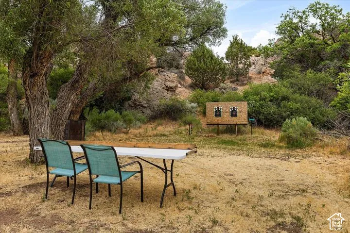 Wooded outdoor area with mature trees and natural landscaping