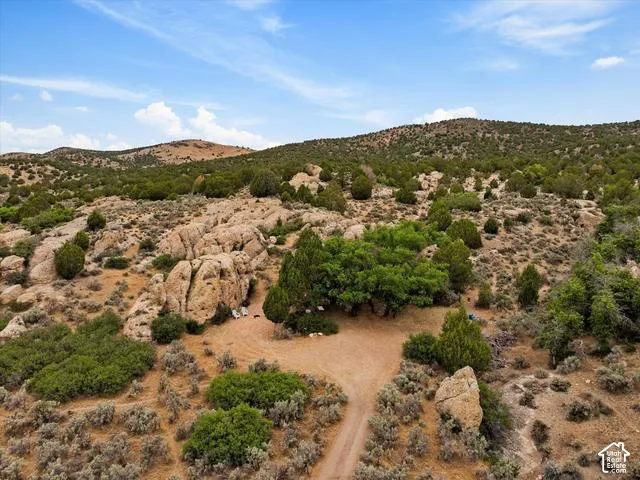 Expansive desert landscape featuring rugged terrain and diverse vegetation