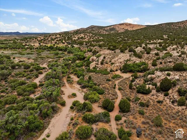 Expansive desert landscape with natural terrain and scattered green foliage