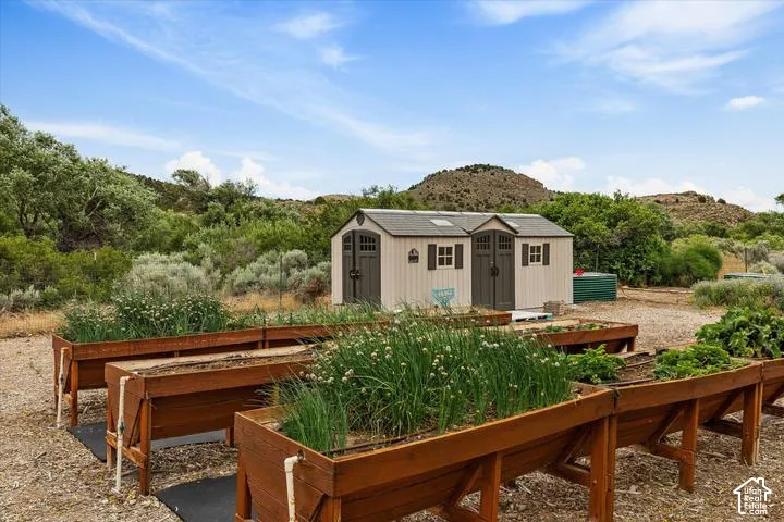Multiple raised garden beds with established plantings