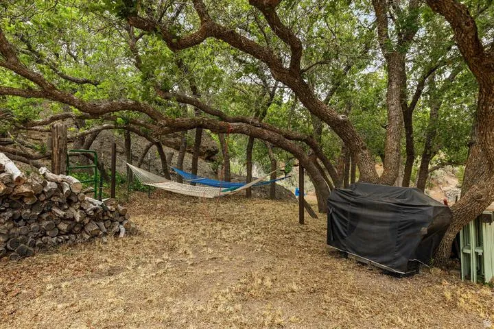 Mature trees providing natural canopy