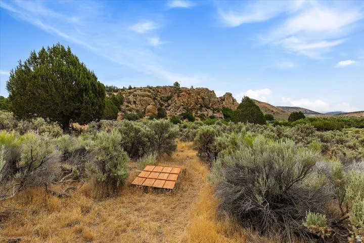 Expansive natural landscape featuring varied shrubbery and mature evergreen trees