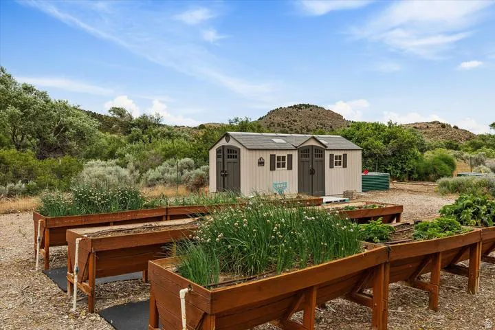 Multiple raised garden beds with established plantings