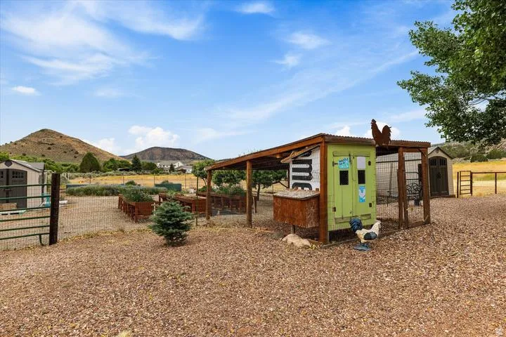 Chicken coop featuring a covered run, green-painted siding, and a corrugated metal roof