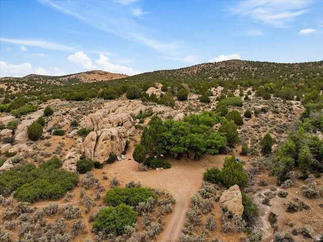 Expansive desert landscape featuring rugged terrain and diverse vegetation