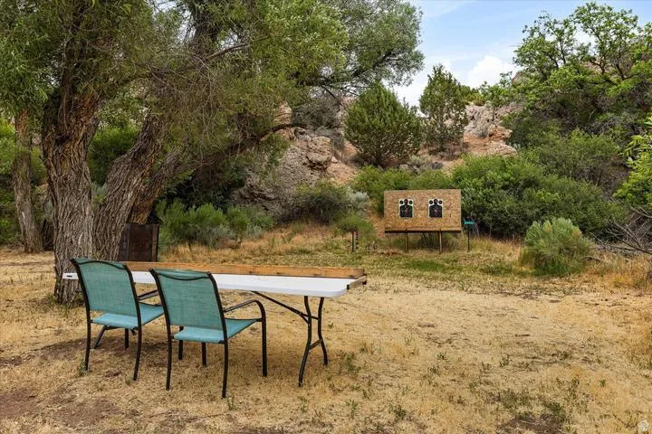 Wooded outdoor area with mature trees and natural landscaping