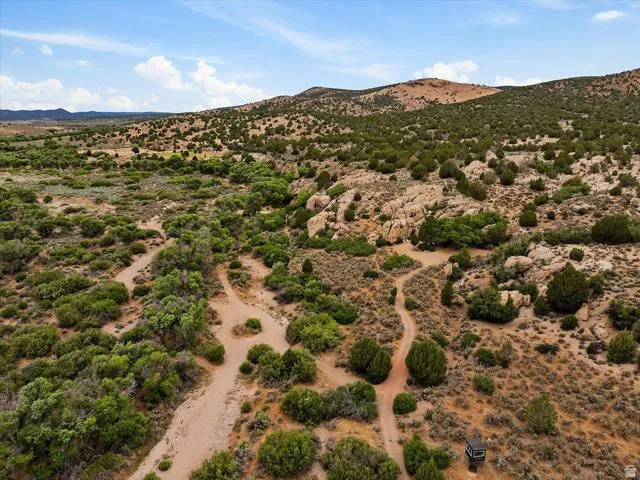Expansive desert landscape with natural terrain and scattered green foliage
