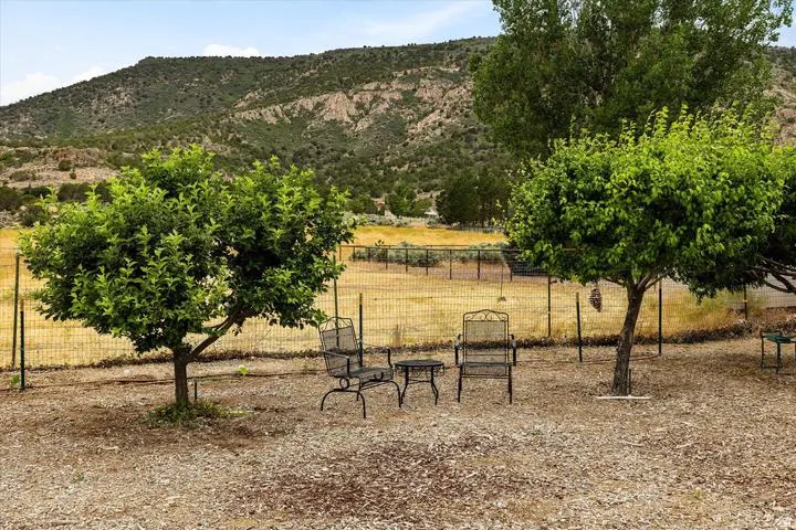 Expansive gravel hardscaping with mature trees