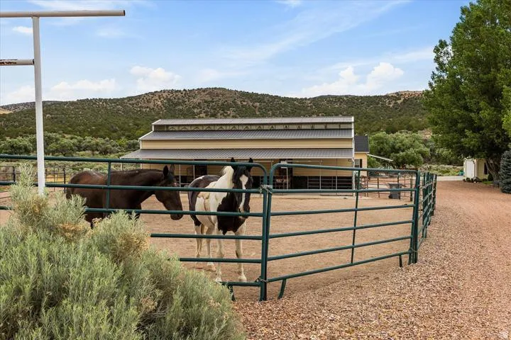 Gravel driveway leading to a fenced outdoor pen with a barn structure featuring a metal roof and light-colored siding