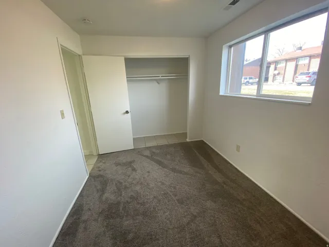 Carpeted room with a large window, a built-in closet with sliding doors, and a ceiling light fixture