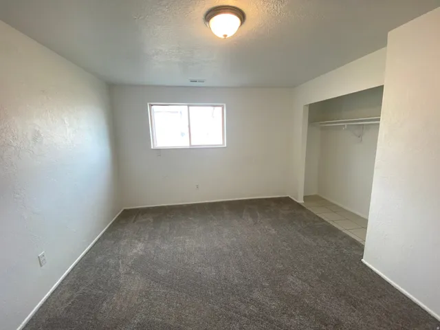 Carpeted room featuring a window, built-in closet with tile flooring, and overhead lighting