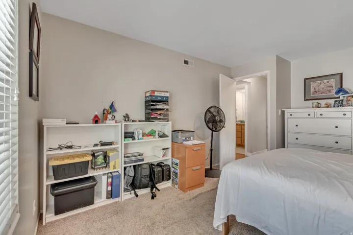 Carpeted room with light neutral wall paint