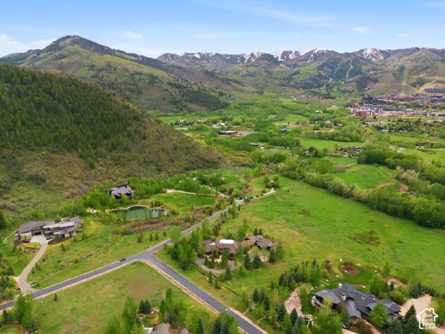 Lush green landscape featuring mature trees, paved roads, and distant mountain ranges with snow-capped peaks