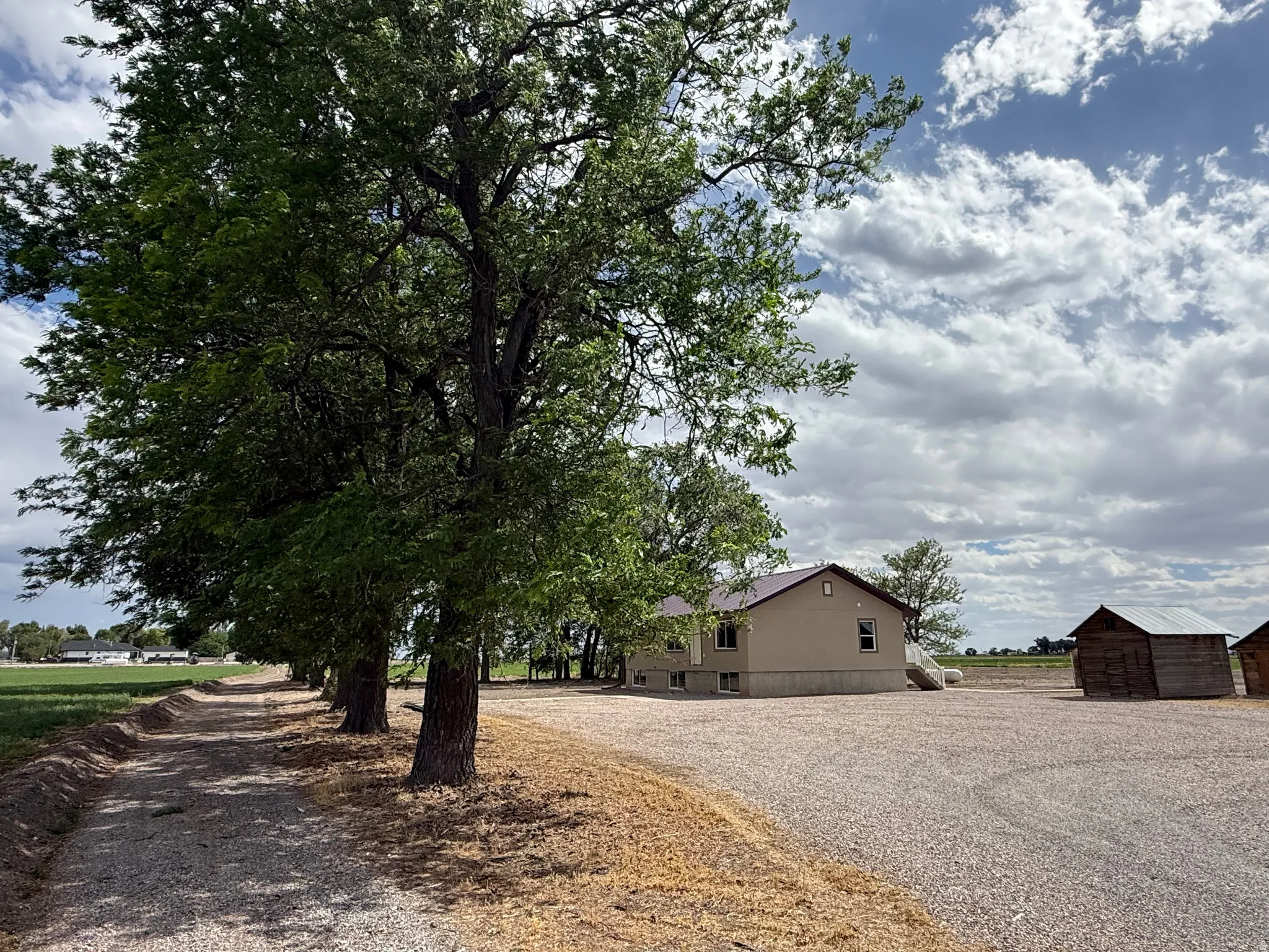 Spacious gravel driveway with mature trees lining the property