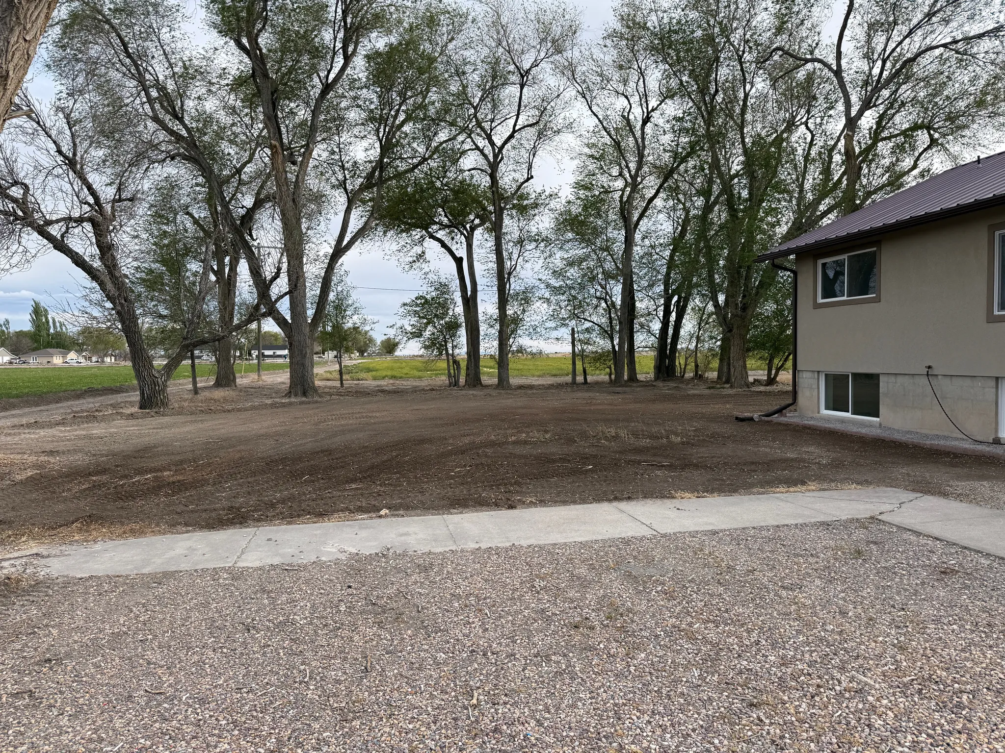 Spacious outdoor area featuring mature trees and a gravel driveway