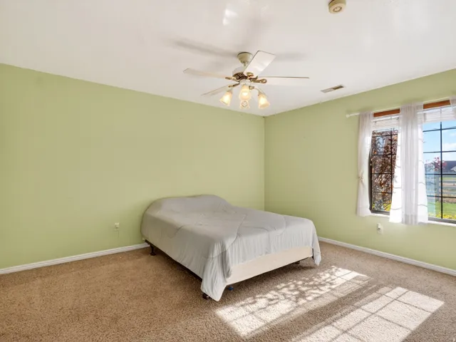 Bright interior room featuring a light green wall finish and textured carpet flooring