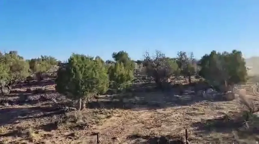 Expansive undeveloped land featuring natural terrain and mature trees