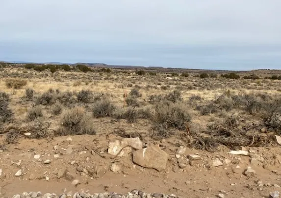 Expansive desert landscape featuring natural vegetation and distant hills under an open sky