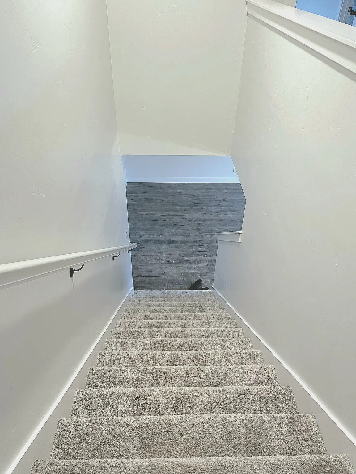 Carpeted staircase with a white handrail, leading to a space with wood-finish flooring and light-toned walls