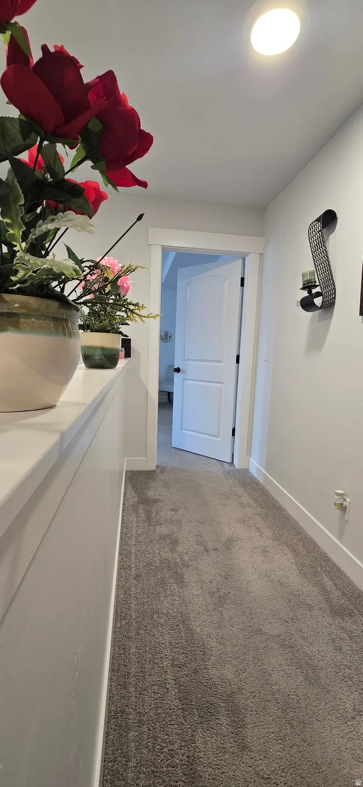 Carpeted hallway with white walls and trim, featuring a recessed ceiling light