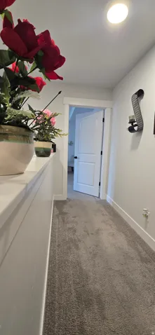 Carpeted hallway with white walls and trim, featuring a recessed ceiling light