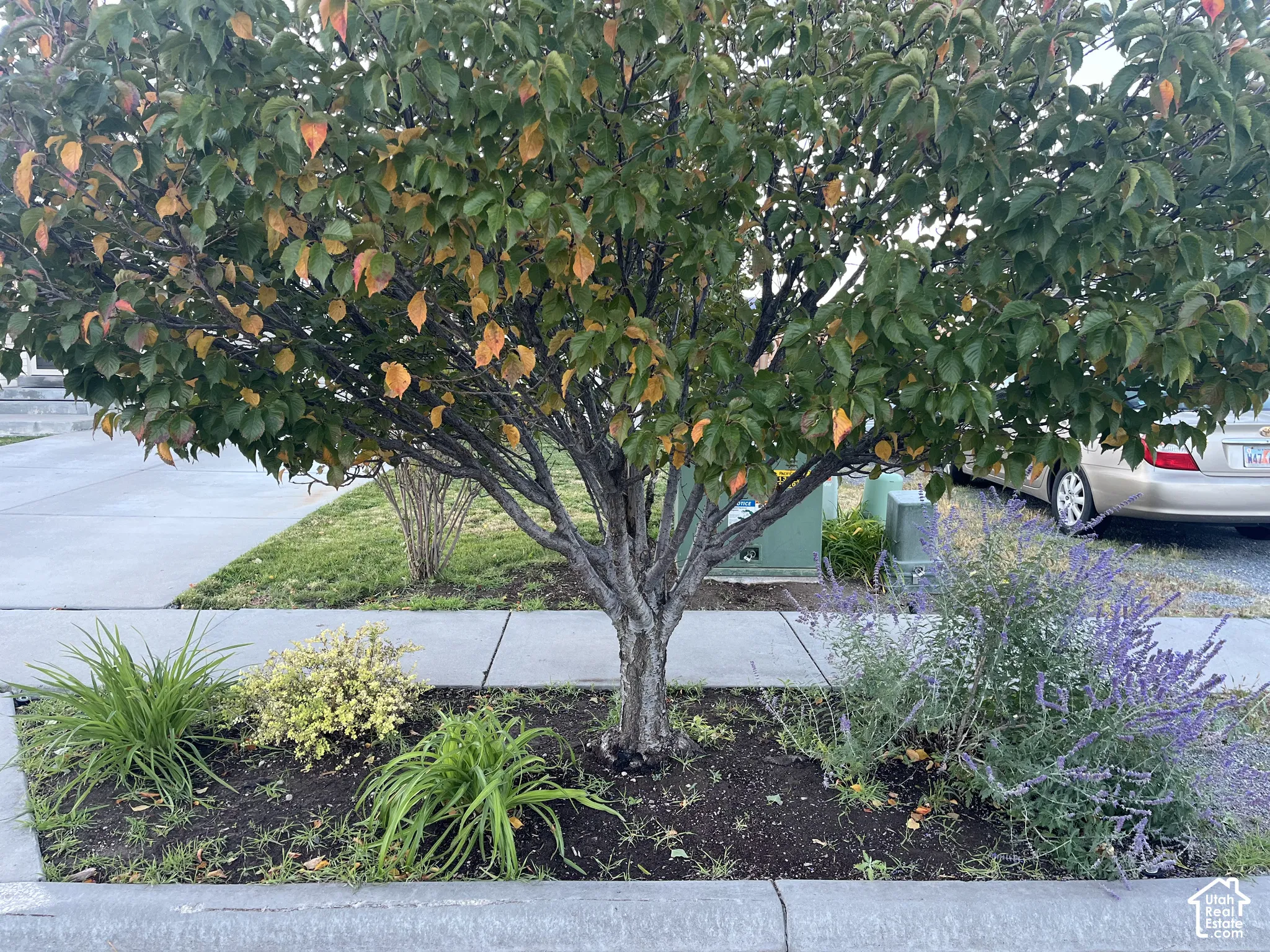 Autumn in Tooele