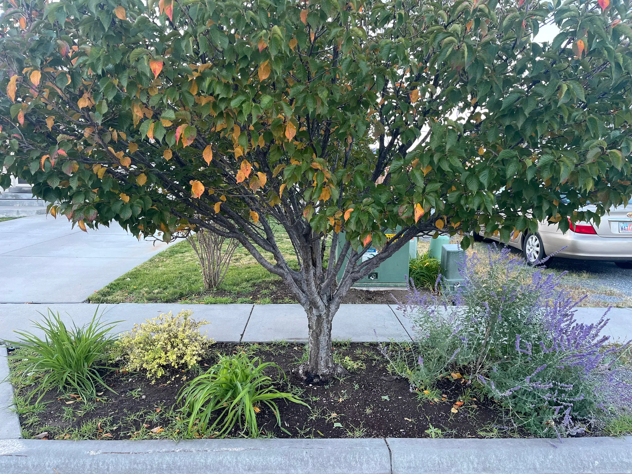 Autumn in Tooele
