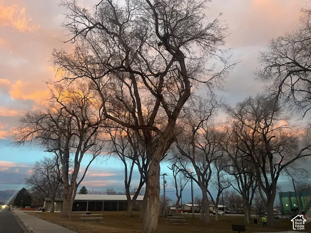 Tooele's Main Summer Music Event is Fridays on Vine Series. Shows are 100% free and Happen every Friday Night at 7;00 o'clock. They take place at Pratt Aquatic Center