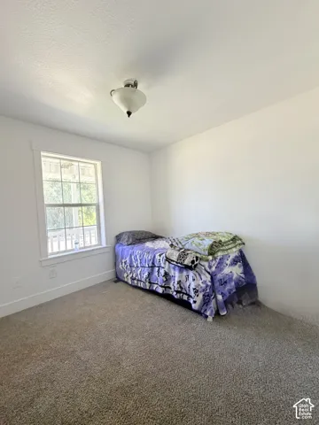 Neutral-toned carpet flooring