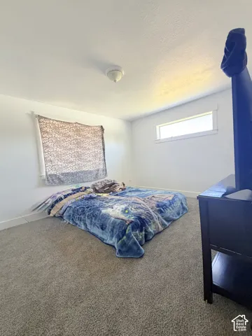 Carpeted room featuring a white ceiling and walls, two windows with white trim, and a ceiling-mounted light fixture