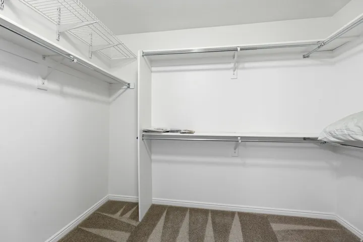 Primary Walk-in closet featuring white wire shelving, hanging rods, and patterned carpeting
