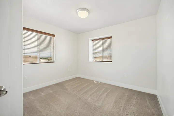 Bright room with two windows featuring wood-finish blinds, neutral carpeting, and a flush-mount ceiling light fixture