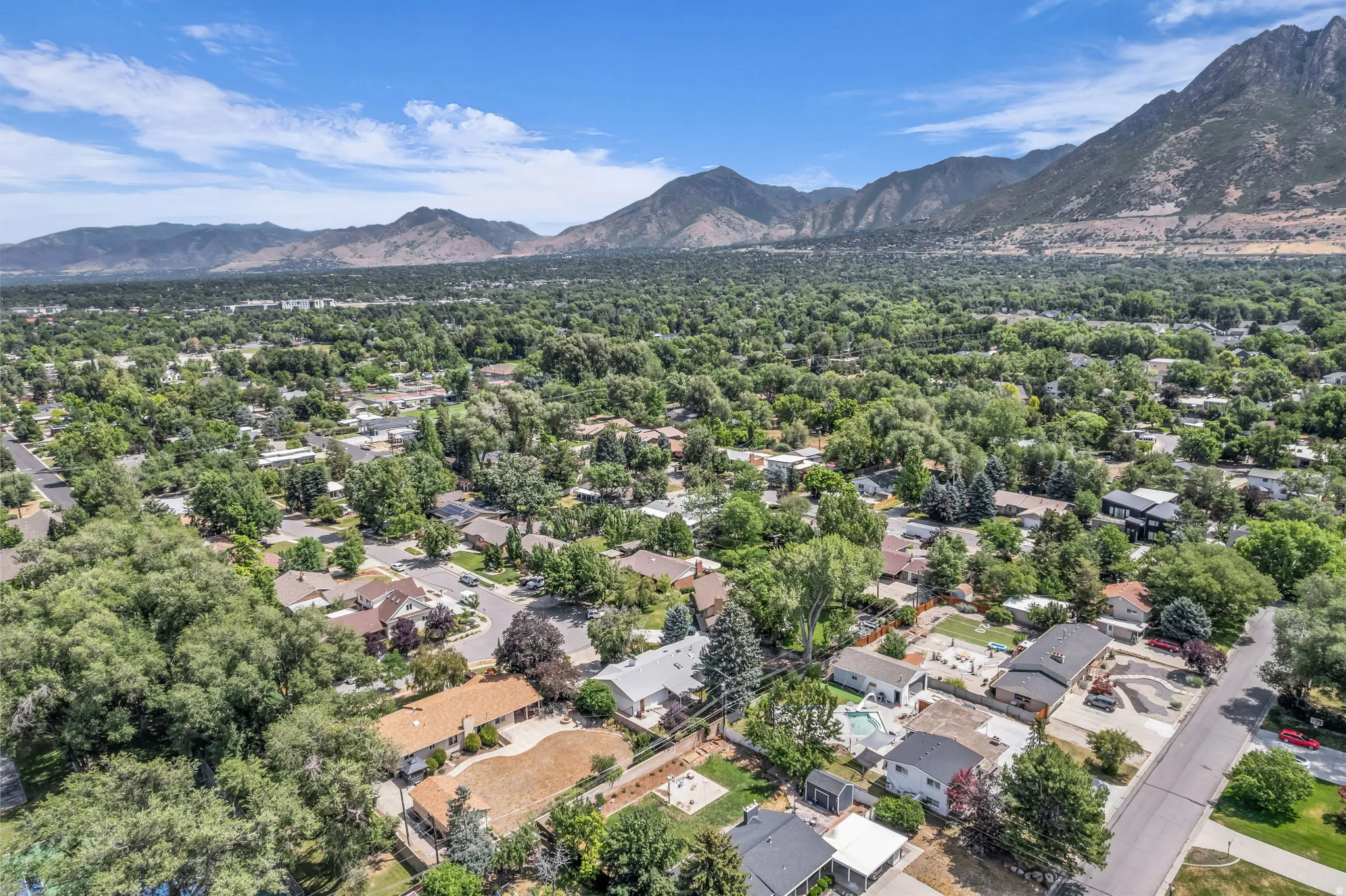 Expansive neighborhood featuring mature tree canopy, residential streets, and distant mountain ranges