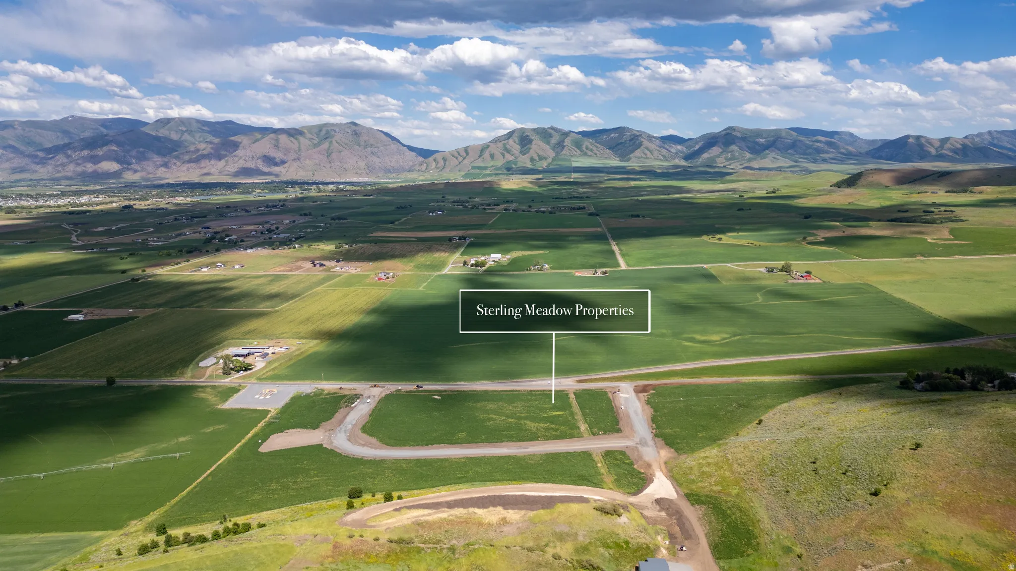 Expansive agricultural landscape featuring green fields and distant mountains