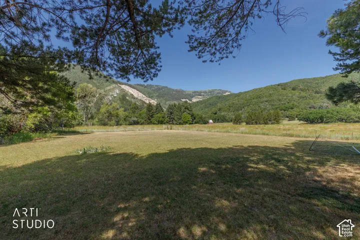 Expansive grassy area with distant mountains and abundant trees