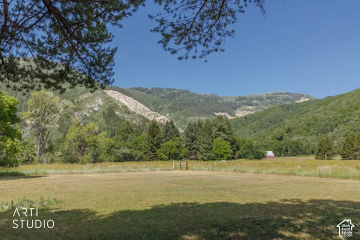 Expansive grassy field with distant forested mountains and a clear blue sky