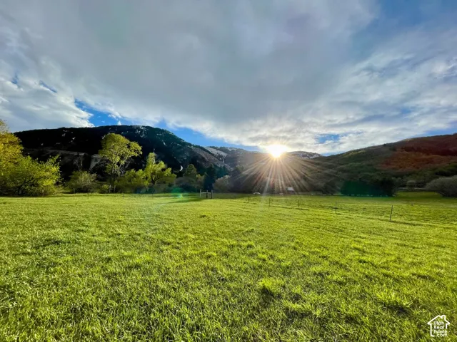 Expansive green field surrounded by mature trees and distant mountains, featuring a bright sky with scattered clouds