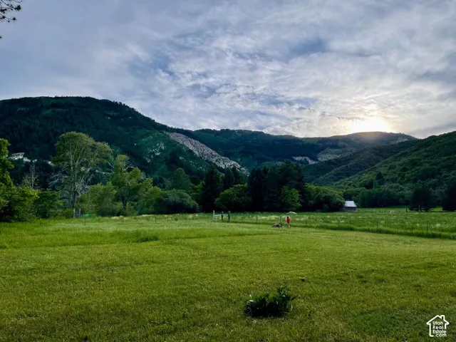 Expansive green field with distant mountain range backdrop