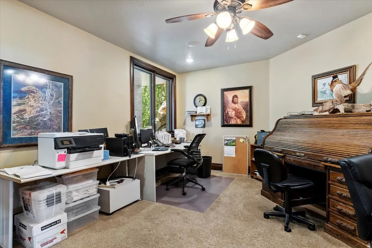 Carpeted interior space featuring a ceiling fan with light fixture, large framed window, and neutral wall tones. Could also be a bedroom.