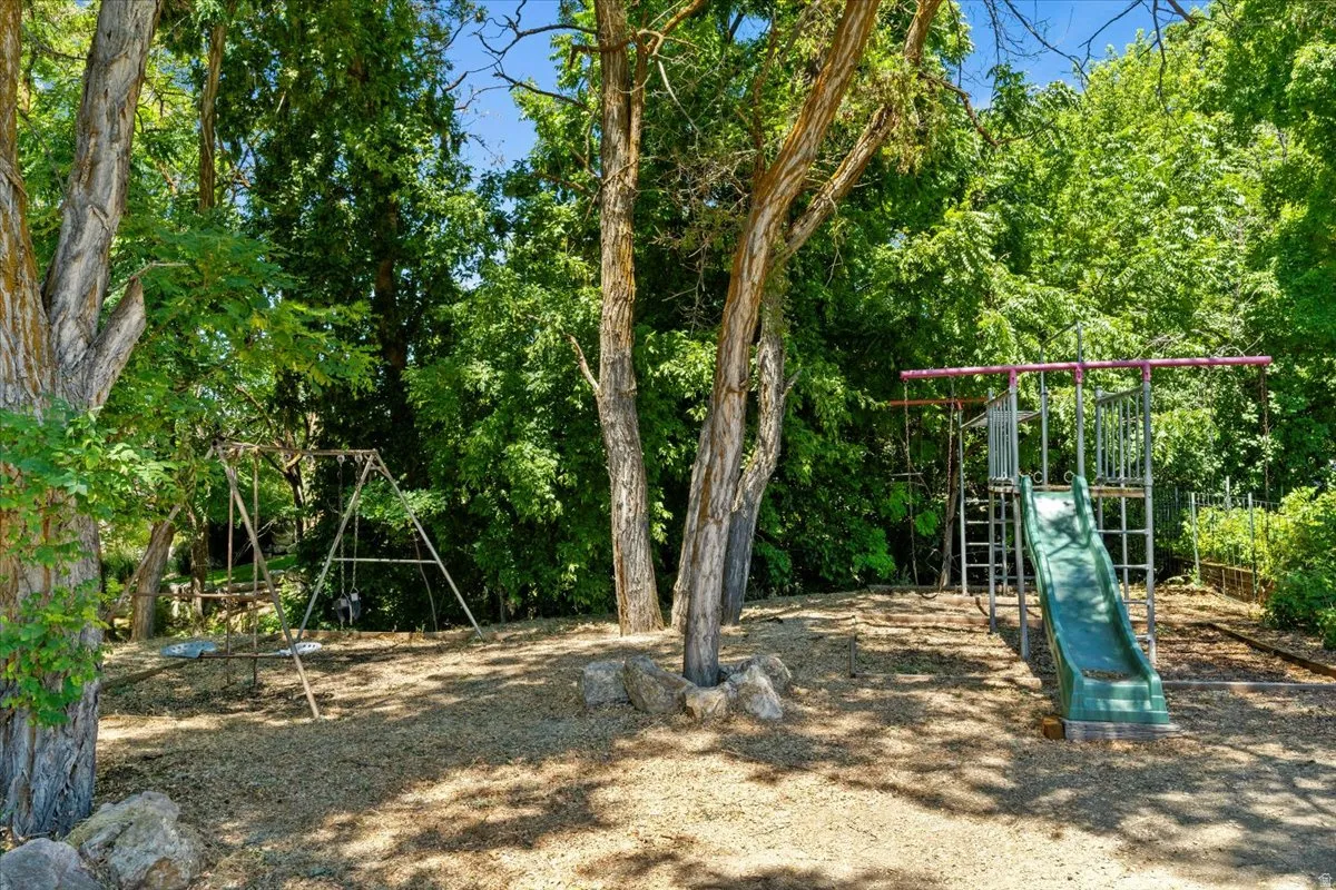 Natural outdoor area featuring mature trees providing ample shade