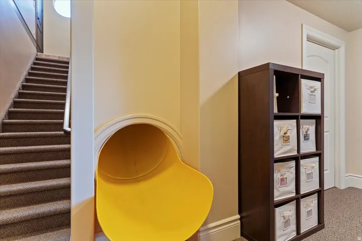 Carpeted staircase leading to garage with light-toned walls and a built-in yellow slide