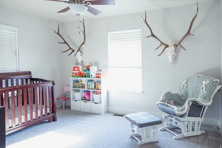 Bright room featuring light gray wall paint and plush carpeting