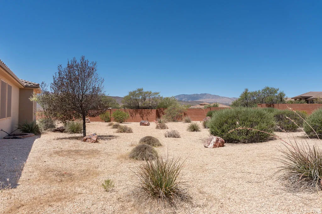 Xeriscape backyard featuring gravel landscaping