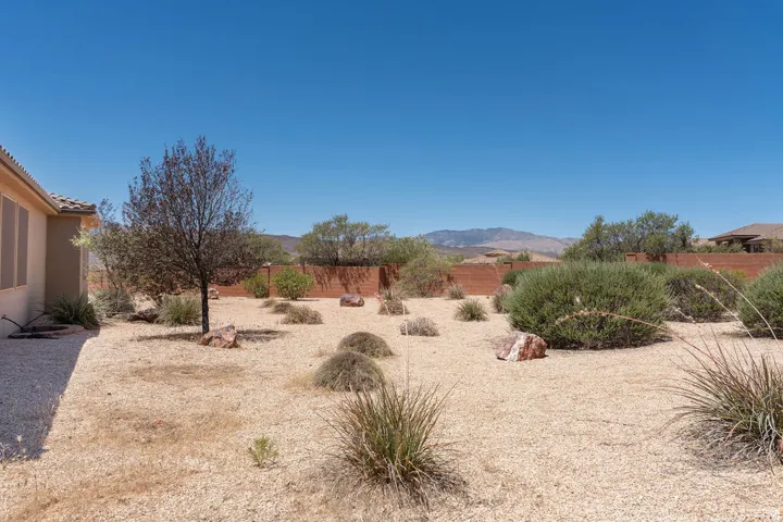 Xeriscape backyard featuring gravel landscaping